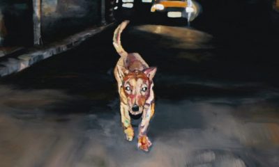 Resto humano | Rastro Animal na Galeria de Arte Copasa