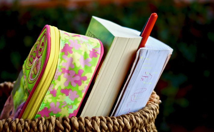 O que observar antes da matrícula na escola