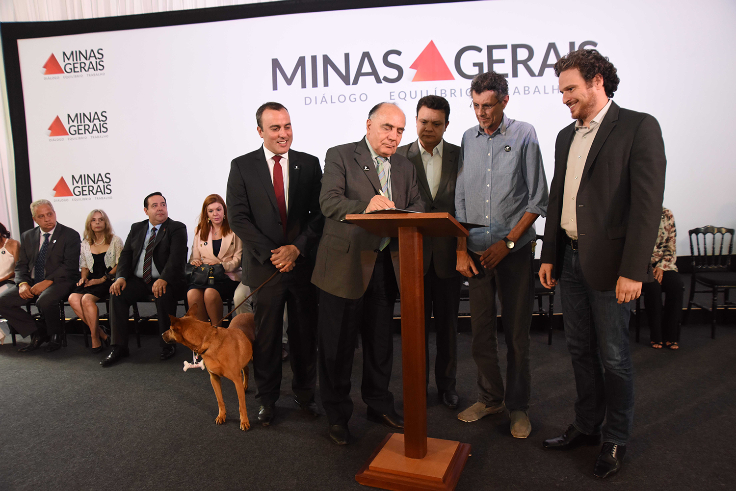 Governo anuncia medidas de combate a maus-tratos contra animais no Estado