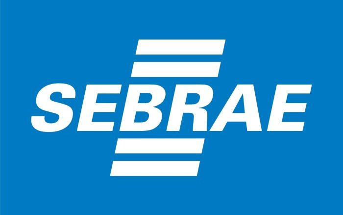 Professores da rede municipal participam de capacitação do Sebrae Minas