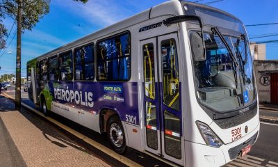 Novos ônibus da linha Ponte Alta/Peirópolis com design de paleoartista uberabense começam a circular