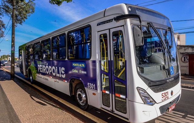 Novos ônibus da linha Ponte Alta/Peirópolis com design de paleoartista uberabense começam a circular