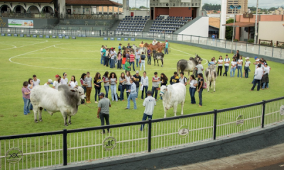 Alunos do IFTM participam de minicurso na ABCZ