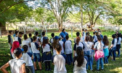 Museu do Zebu promove produção do conteúdo para a revista ‘Turma do Zebuzinho’