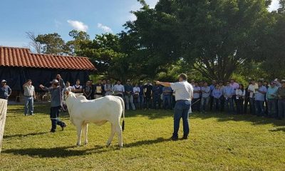 Diretor acadêmico da Fazu ministra aula no 3º Curso de Seleção de Reprodutores na Bolívia