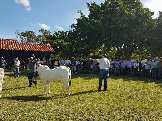 Diretor acadêmico da Fazu ministra aula no 3º Curso de Seleção de Reprodutores na Bolívia