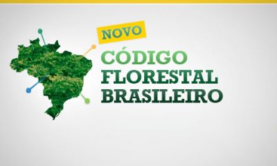 Supremo considera constitucional o Código Florestal