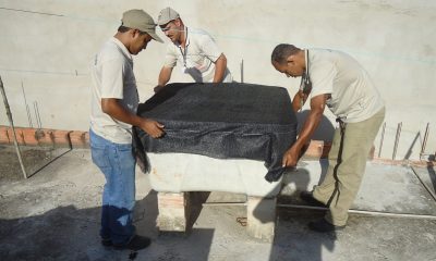 Zoonoses reforça atuação no foco da prevenção de doenças transmitidas por animais