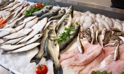 Procon divulga pesquisa de preços de peixes 2018