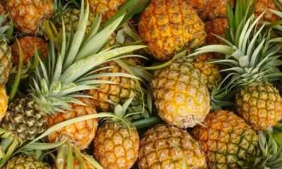 Vice-prefeito visita produção de abacaxi em Frutal e leva informações sobre o Selo Uberaba Quality