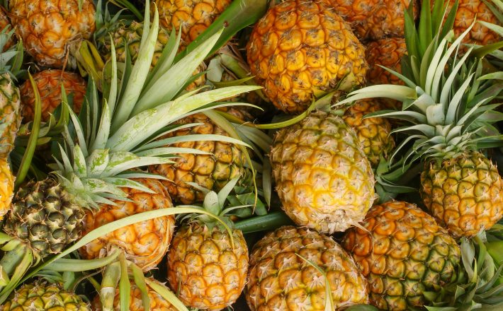 Vice-prefeito visita produção de abacaxi em Frutal e leva informações sobre o Selo Uberaba Quality
