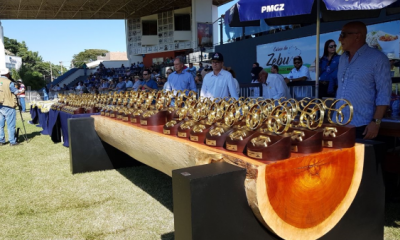 ExpoZebu 2018: Grandes Campeões serão definidos neste sábado (05)