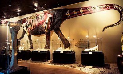 Museu dos Dinossauros se transforma em sala de aula