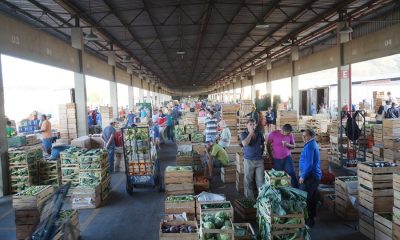 Ceasa divulga cotação semanal de preços