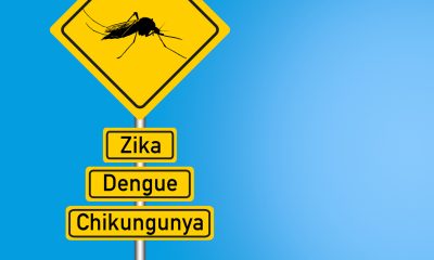 Uberaba está fora de situação de risco para dengue, zika e chikungunya