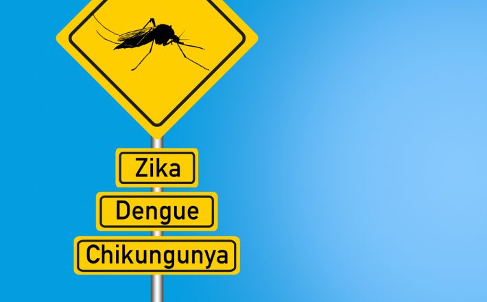 Uberaba está fora de situação de risco para dengue, zika e chikungunya