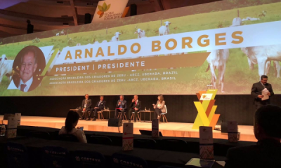 Presidente da ABCZ modera painel sobre pecuária no GAF18