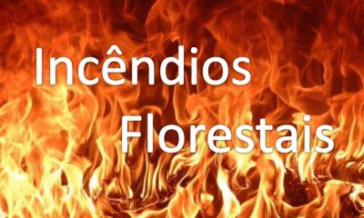 Escolas municipais do campo recebem palestras sobre incêndios florestais