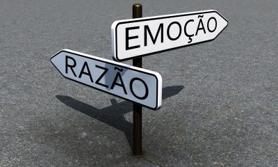 O crivo da racionalidade