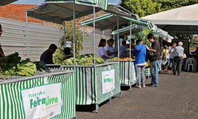 Abertura da Feira do Produtor tem visitação de grande público