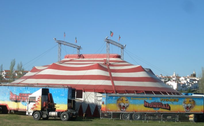 Artistas do Circo Mundial visitam Circo do Povo de Uberaba nesta quarta-feira