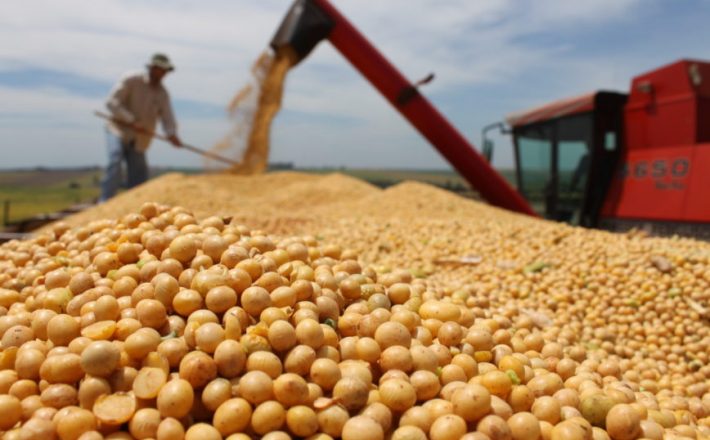 Brejeiro duplica capacidade de produção e armazenamento de semente de soja em Uberaba