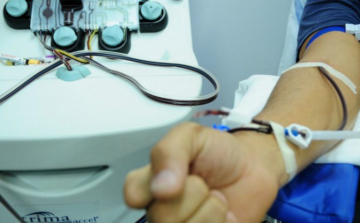 Pacientes com leucemia têm altas chances de cura