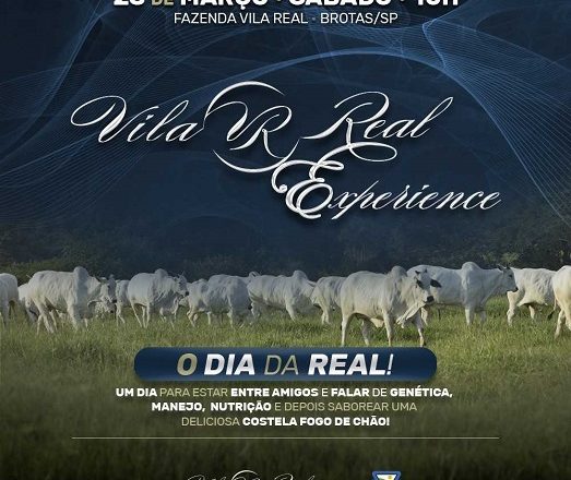 Dia de campo terá a oferta de touros da raça Nelore com o padrão Pró-Genética