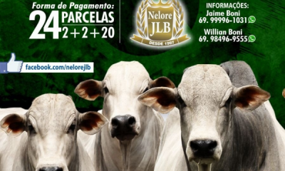 ‘3º Leilão Reprodutores Nelore JLB e convidados’ vai oferecer 45 touros no próximo sábado (16)