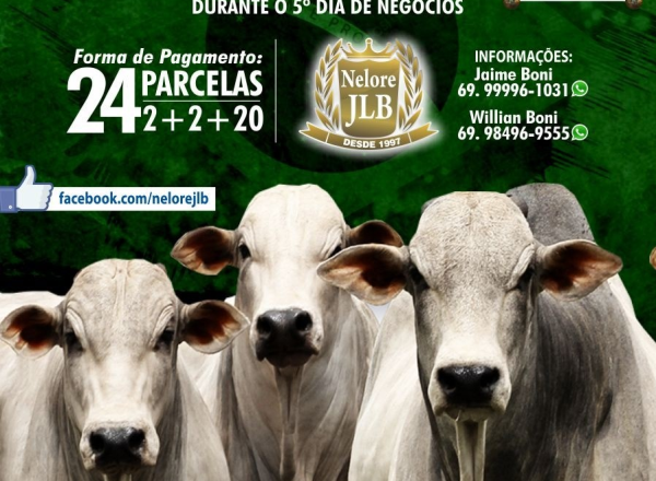‘3º Leilão Reprodutores Nelore JLB e convidados’ vai oferecer 45 touros no próximo sábado (16)