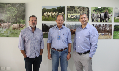 ASBIA homenageará ABCZ com Tributo ASBIA 2019