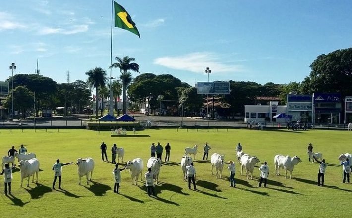 Governo de Minas tem programação diversificada na Expozebu