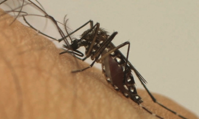 Governo destina R$ 4,2 milhões para cidades com epidemia de dengue
