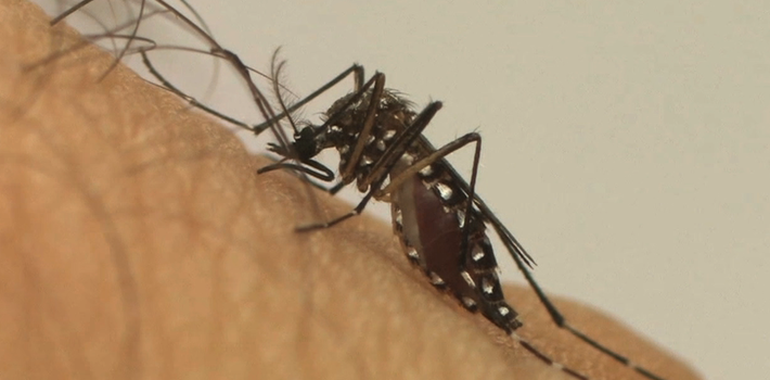 Governo destina R$ 4,2 milhões para cidades com epidemia de dengue
