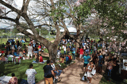 Codau Cultural reuniu famílias no Parque das Barrigudas para ouvir reggae e rap