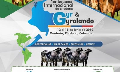 ABCZ participará de encontro internacional entre criadores de Gir e Girolando