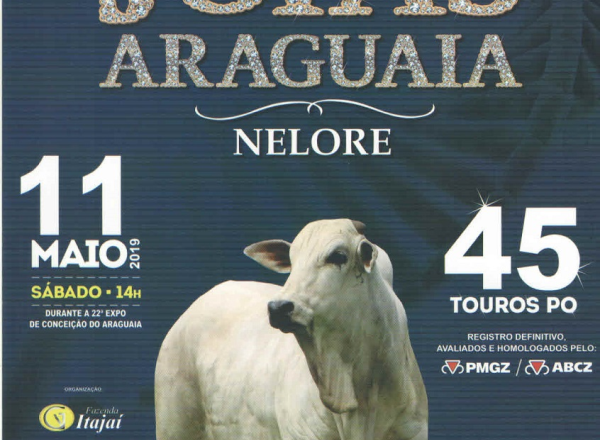 ‘10º Leilão Joias do Araguaia’ vai oferecer 45 touros Nelore
