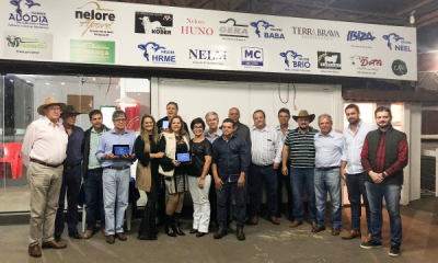‘3ª PGP a pasto Amigos do Nelore’ termina registrando bons resultados