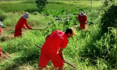 Parcerias criam oportunidades de trabalho para presos do Norte de Minas
