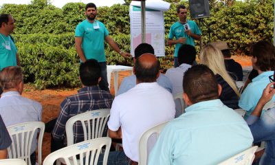Encontro discute tecnologias para redução de custos na cafeicultura