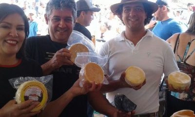 Gestão compartilhada favorece cadeia produtiva de queijo Minas artesanal