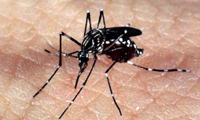 Estado destina mais R$ 2,38 milhões para o enfrentamento da dengue