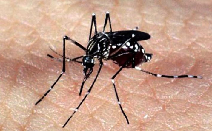 Estado destina mais R$ 2,38 milhões para o enfrentamento da dengue