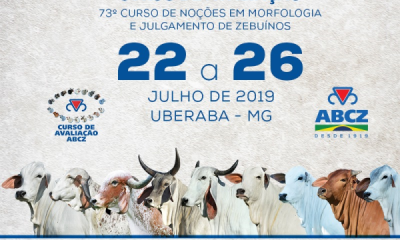 ABCZ abre inscrições para Curso de Julgamentos