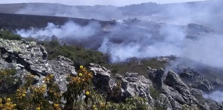 Governo amplia debate sobre manejo na prevenção de incêndios florestais