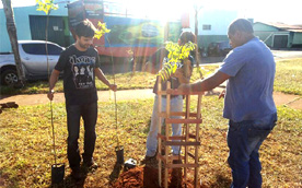 Projeto Reviverde atua no bairro São Cristóvão com projeto de paisagismo e programa Saúde das Plantas