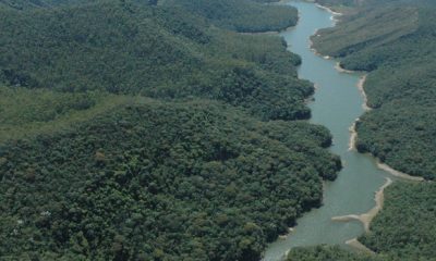 Governo de Minas comemora Dia do Meio Ambiente com avanços na pasta ambiental