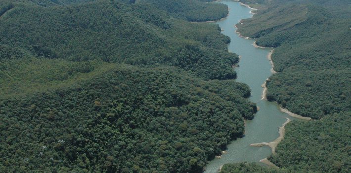 Governo de Minas comemora Dia do Meio Ambiente com avanços na pasta ambiental