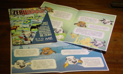 Revista ‘Turma do Zebuzinho’ ganha tradução em mandarim