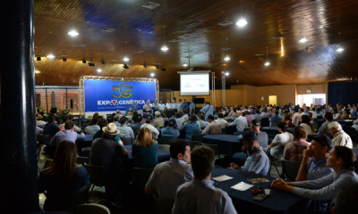 Produção de carne com qualidade e sustentabilidade é tema de palestra durante a ExpoGenética31 de julho, 2019 por Mário Sérgio Santos